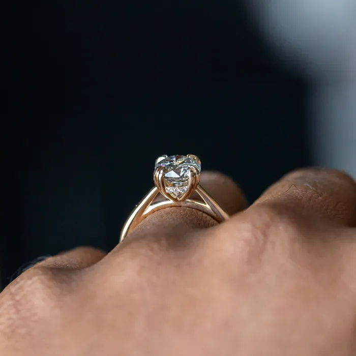 Earrings Anueva Jewelry 176ct Round Salt Pepper Diamond Hidden Halo Double Prong Solitaire in 14k Yellow Gold