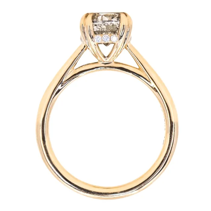 Earrings Anueva Jewelry 176ct Round Salt Pepper Diamond Hidden Halo Double Prong Solitaire in 14k Yellow Gold