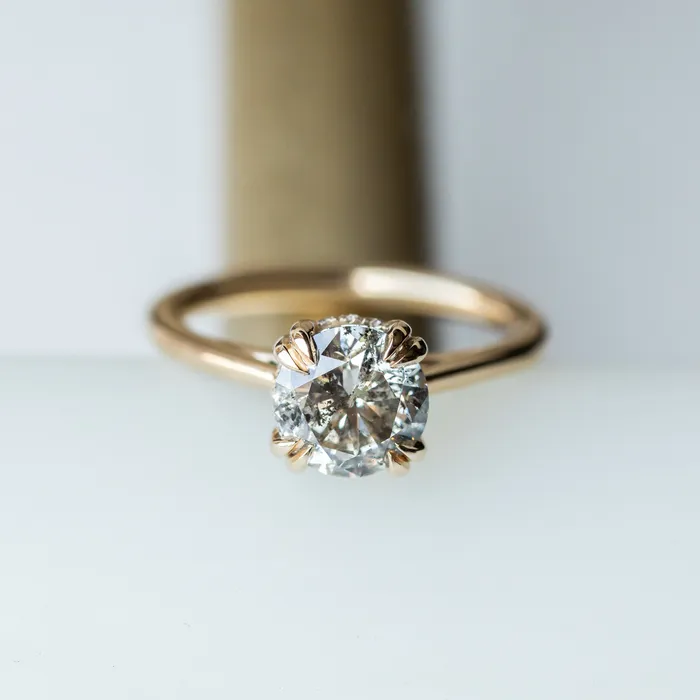 Earrings Anueva Jewelry 176ct Round Salt Pepper Diamond Hidden Halo Double Prong Solitaire in 14k Yellow Gold
