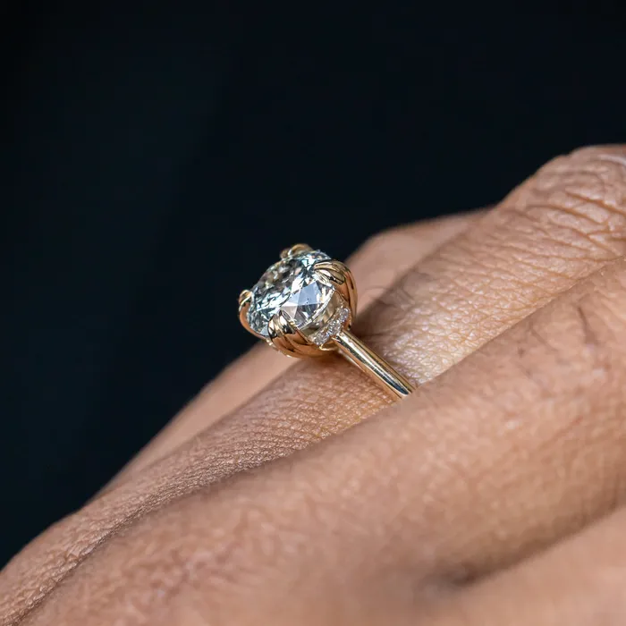 Earrings Anueva Jewelry 176ct Round Salt Pepper Diamond Hidden Halo Double Prong Solitaire in 14k Yellow Gold