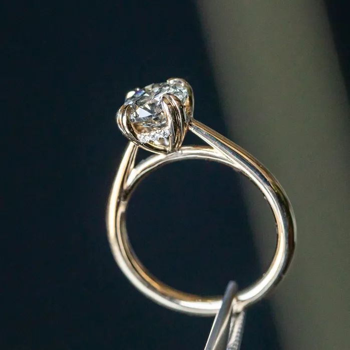 Earrings Anueva Jewelry 176ct Round Salt Pepper Diamond Hidden Halo Double Prong Solitaire in 14k Yellow Gold