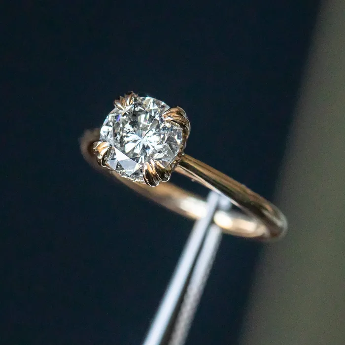 Earrings Anueva Jewelry 176ct Round Salt Pepper Diamond Hidden Halo Double Prong Solitaire in 14k Yellow Gold