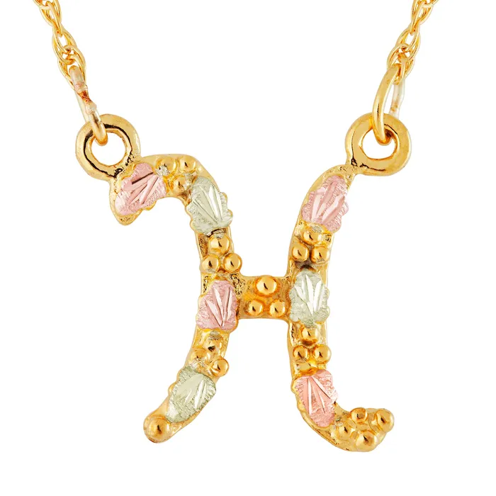 Landstroms Black Hills Gold Initial Pendant H TR Jewelry Concepts Necklaces